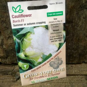 Cauliflower Boris F1