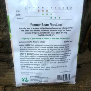 Runner Bean Firestorm