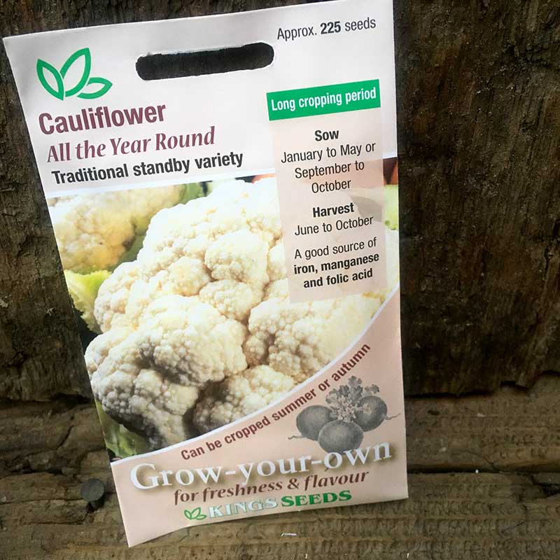 Cauliflower All The Year Round