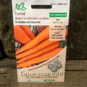 Carrot James Scarlet Intermediate
