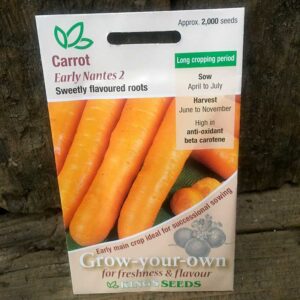 Carrot Early Nantes 2