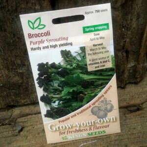 Broccoli Purple Sprouting