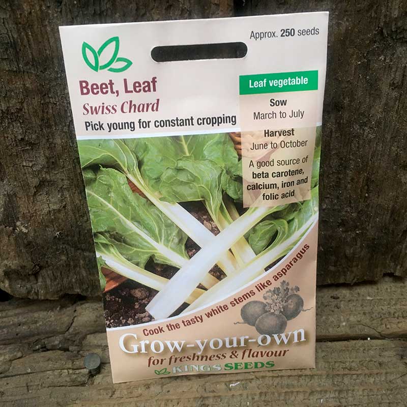Leaf Beet Swiss Chard