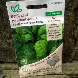 Leaf Beet Perpetual Spinach