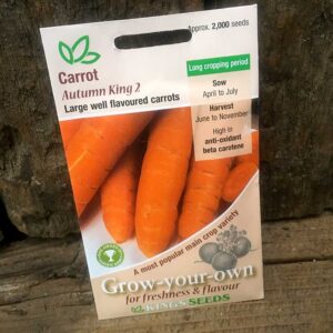 Carrot Autumn King