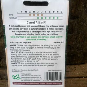 Carrot Attilio F1