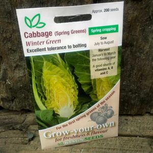 Cabbage (Spring Greens) Winter Green