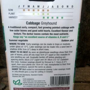 Cabbage Greyhound