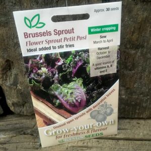 Brussels Sprout Flower Sprout Petit Posi