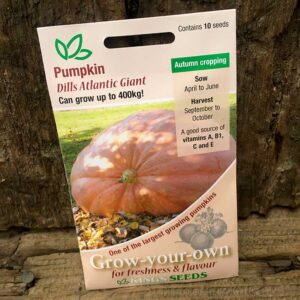 Pumpkin Dills Atlantic Giant