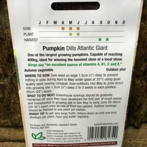 Pumpkin Dills Atlantic Giant