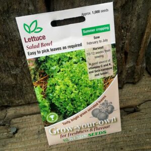 Lettuce Salad Bowl