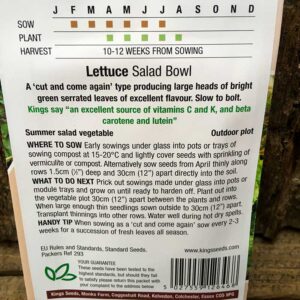 Lettuce Salad Bowl