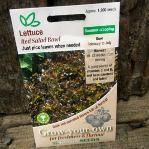 Lettuce Red Salad Bowl
