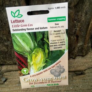 Lettuce Arctic King (Copy)