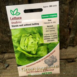 Lettuce Analena (Butterhead)