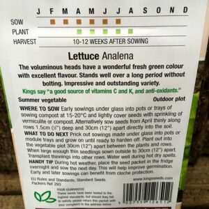 Lettuce Analena (Butterhead)