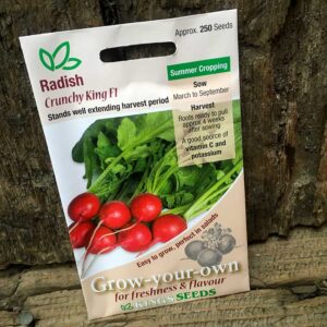 Radish Crunchy King F1