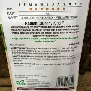 Radish Crunchy King F1