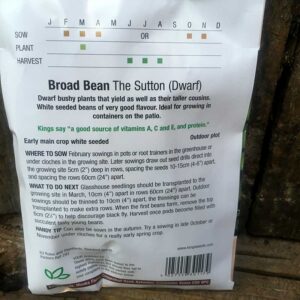 Broad Bean The Sutton (Dwarf)