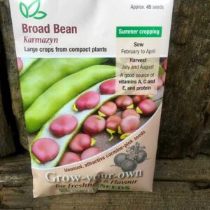 Broad Bean Karmazyn