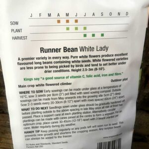 Runner Bean White Lady