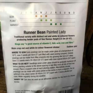 Runner Bean Painted Lady