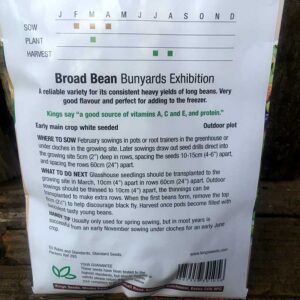 Broad Bean Bunyards Exhibition