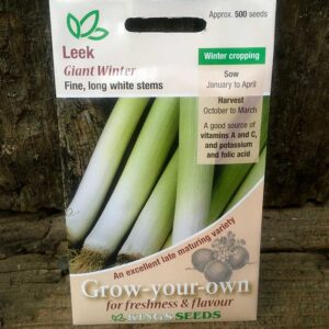Leek Giant Winter