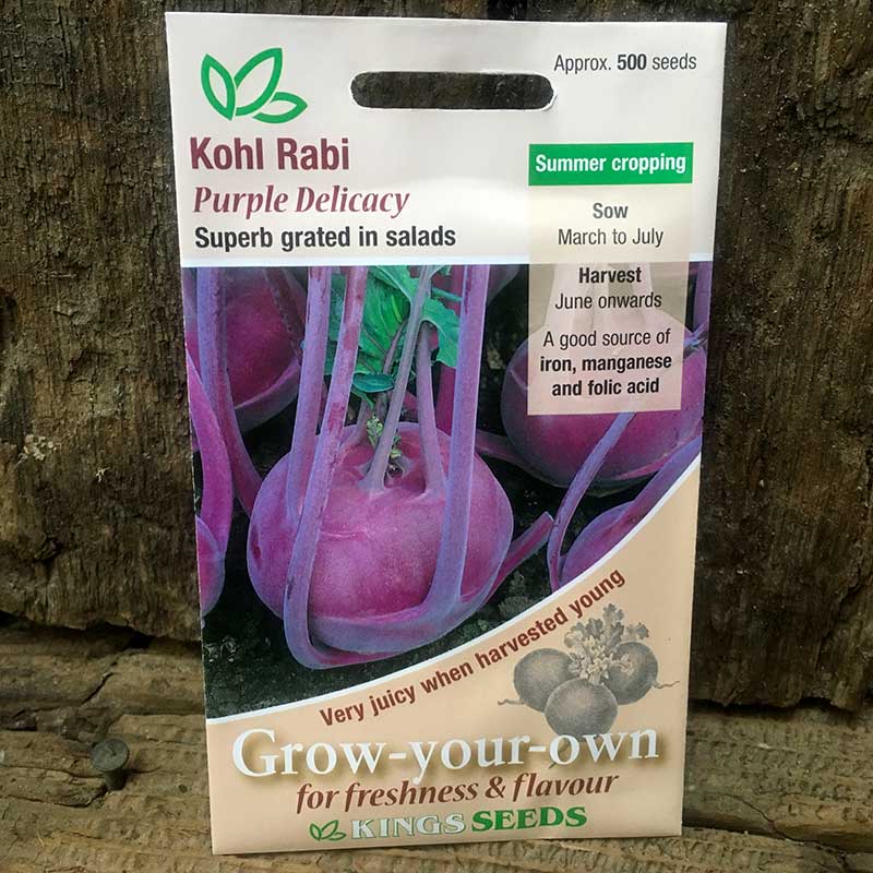 Kohl Rabi Purple Delicacy