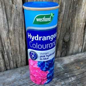 Hydrangea Colourant