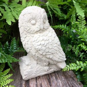Owl (medium)
