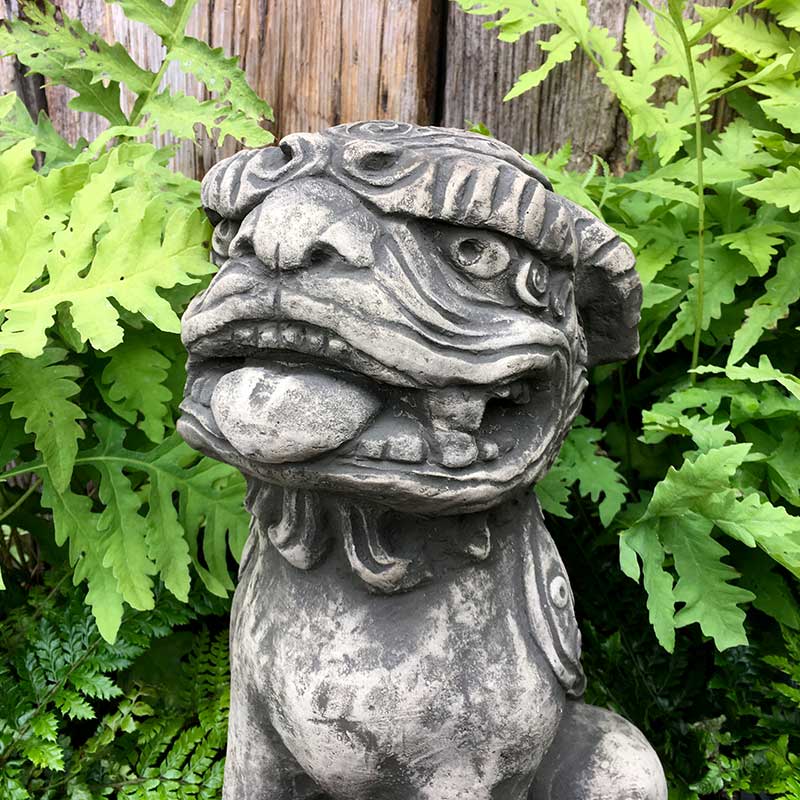 Foo Dog - Image 2