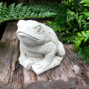 Toad (Small)