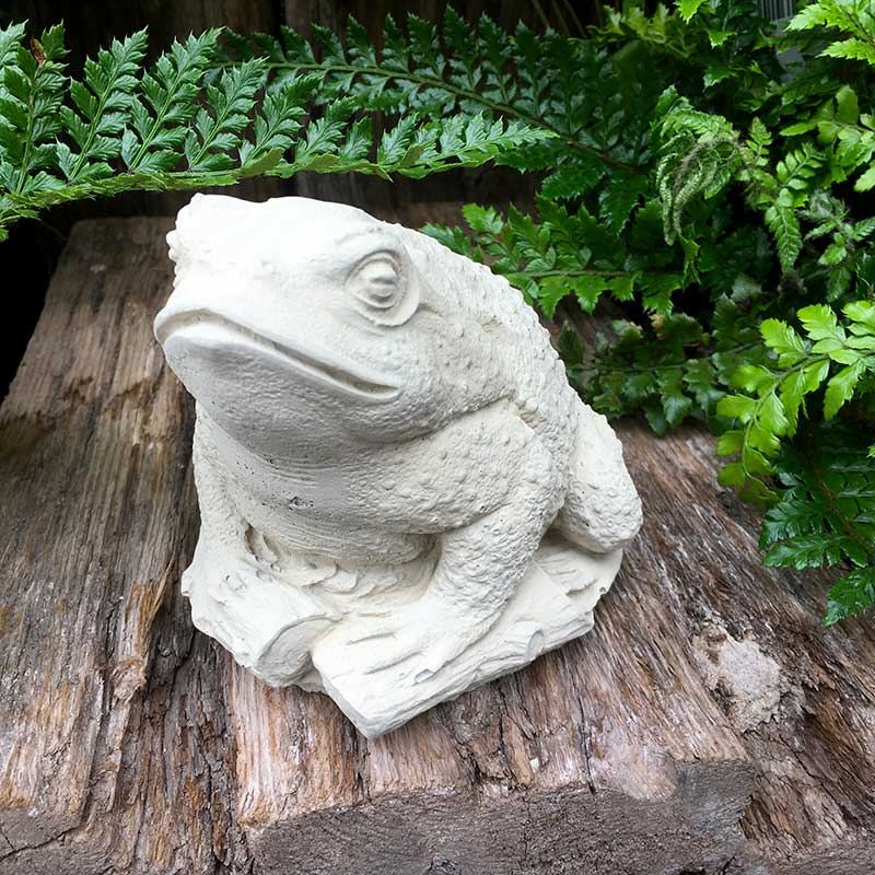 Toad (Small)