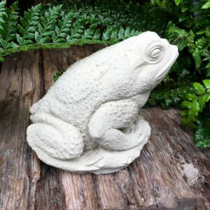 Toad (Small)
