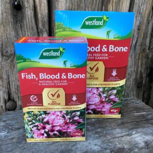 Garden Essentials A