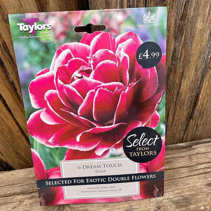 Tulip Dream Touch – Markeaton Garden Centre
