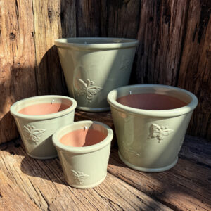 Butterfly Pot – Green