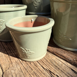 Butterfly Pot – Green